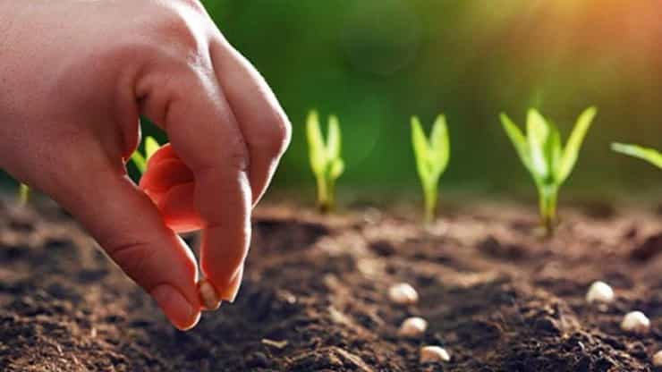 چگونه محصول خود را دو برابر کنیم؟ راهنمای فروشگاه آریا
